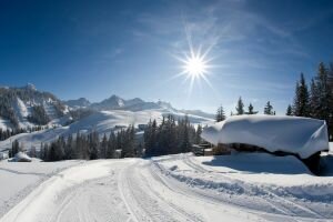 wintertraum